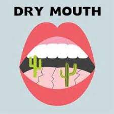 cure for dry mouth at night